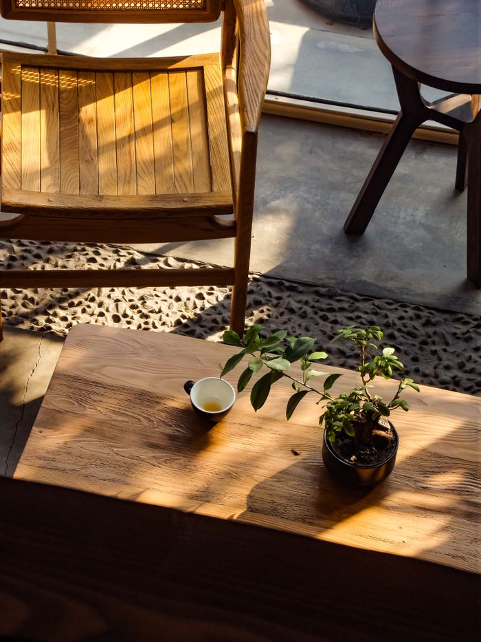 testimonial-img-03 A serene indoor setting with wooden furniture and a potted plant bathed in natural light.